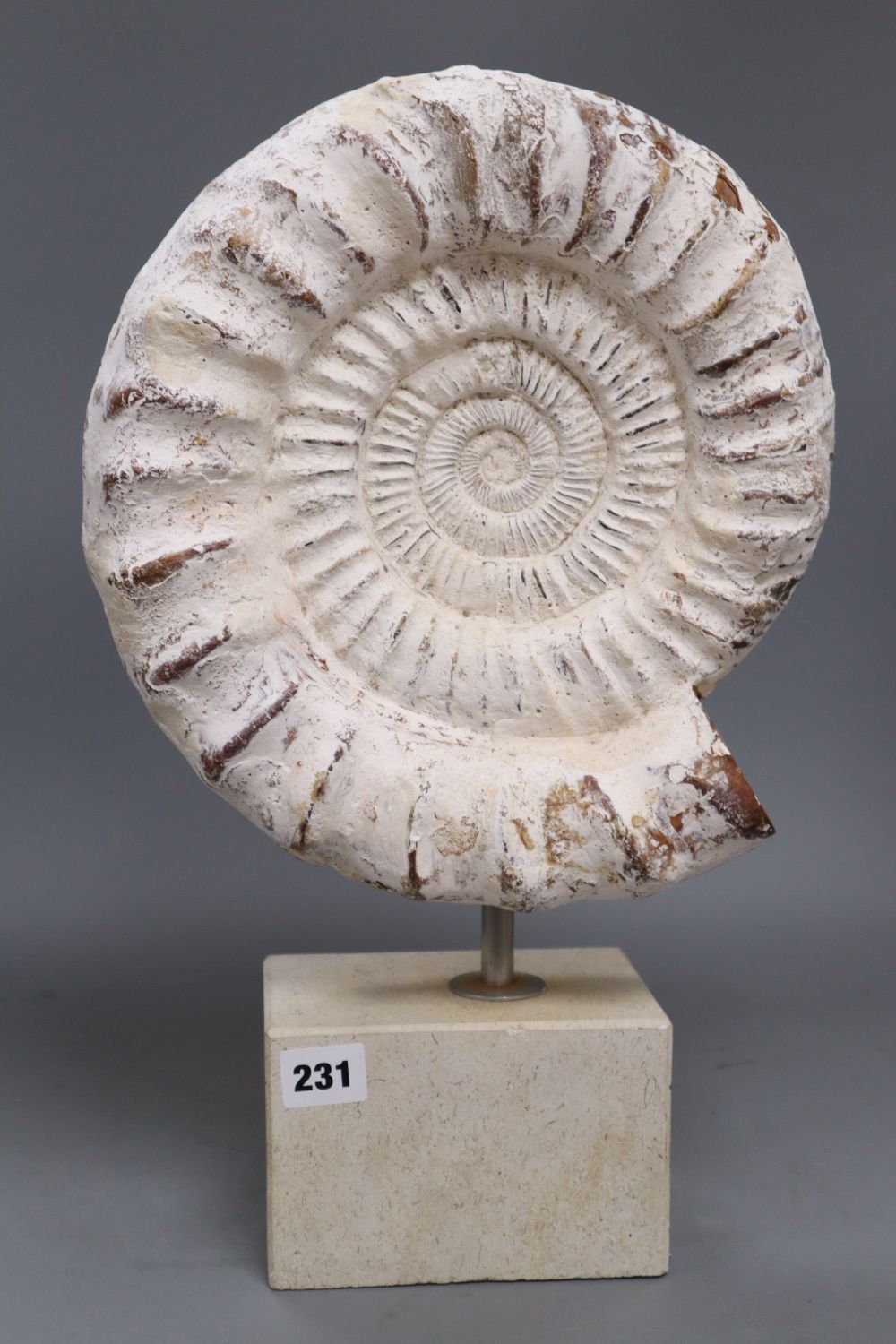 A painted cast ammonite sculpture, total height 44cm